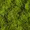 12 Pack: SuperMoss® All-Purpose Sticky Reindeer Moss Mat